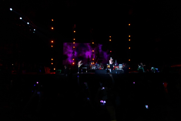 Red Hot Chili Peppers Concert